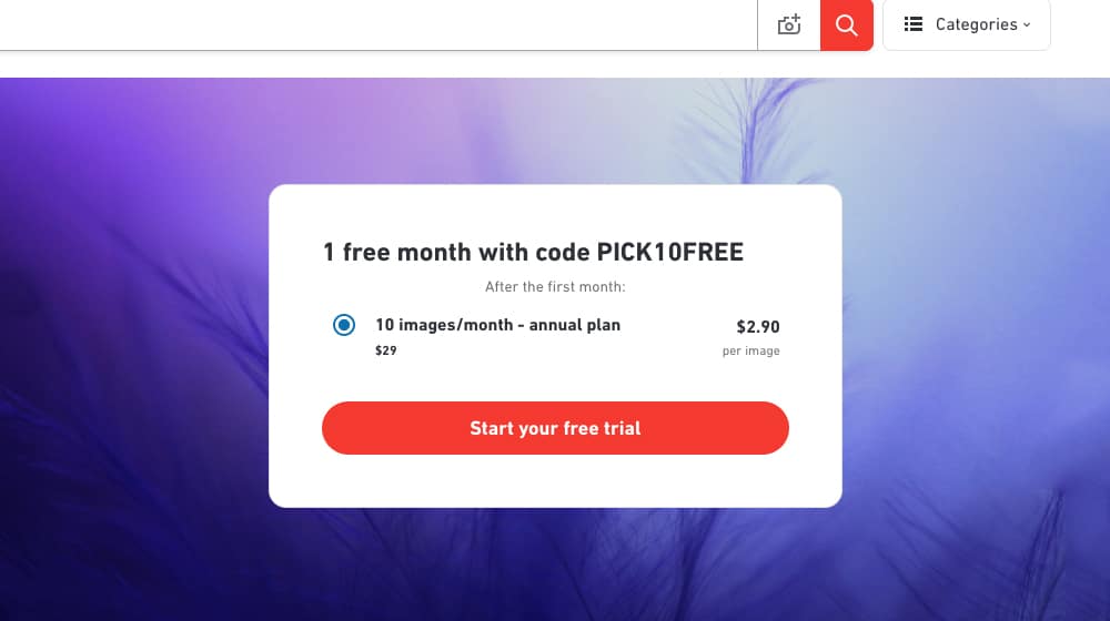 Example Pricing for Shutterstock