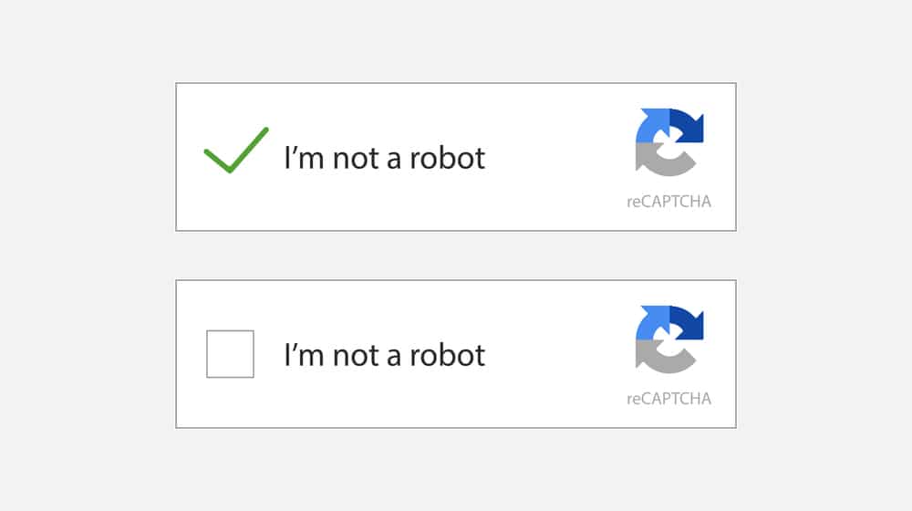 Recaptcha Examples