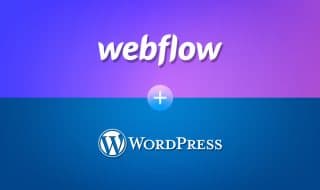 Webflow and WordPress