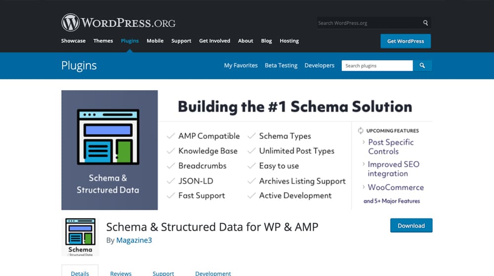 Schema and Structured Data