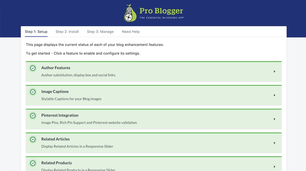 Pro Blogger Optimization