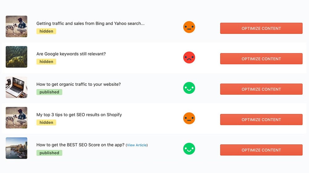 SEO Blog Optimizer