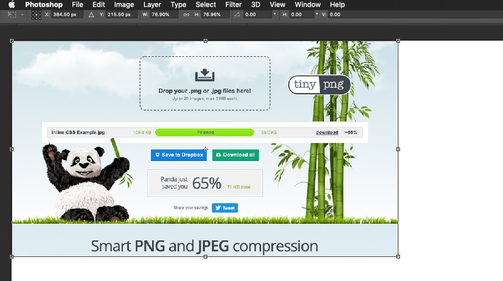 Resizing Image in Photoshop