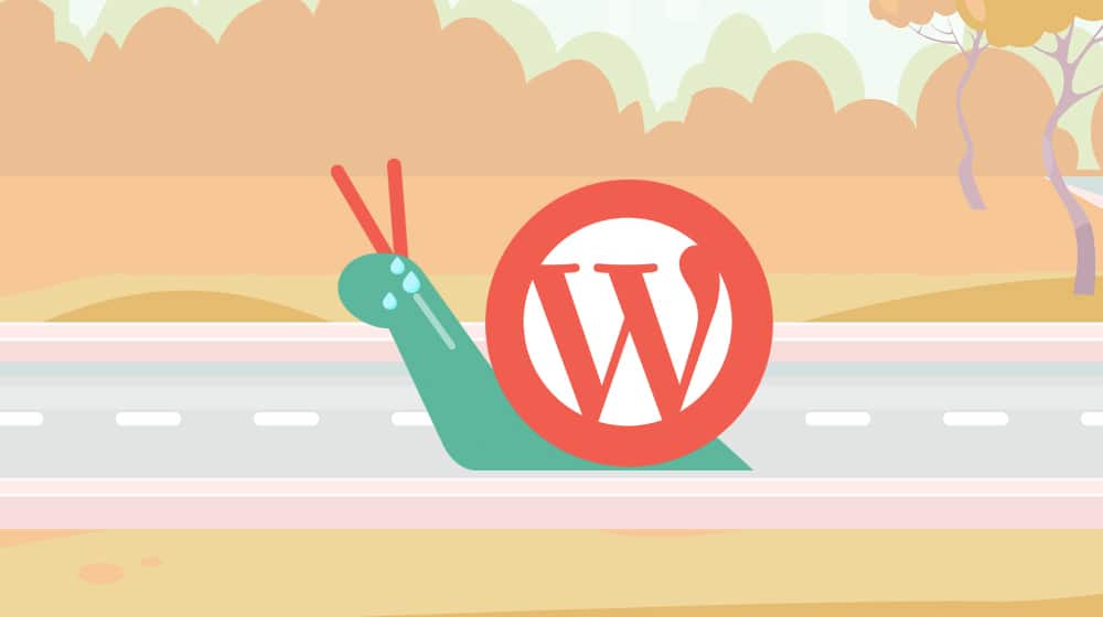 Slow WordPress Site