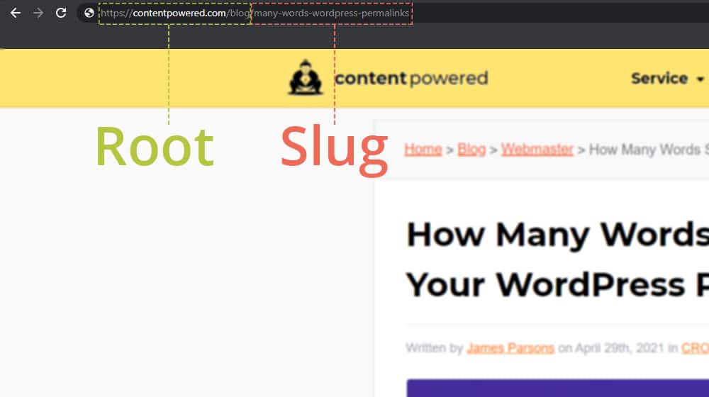 Root vs Slug