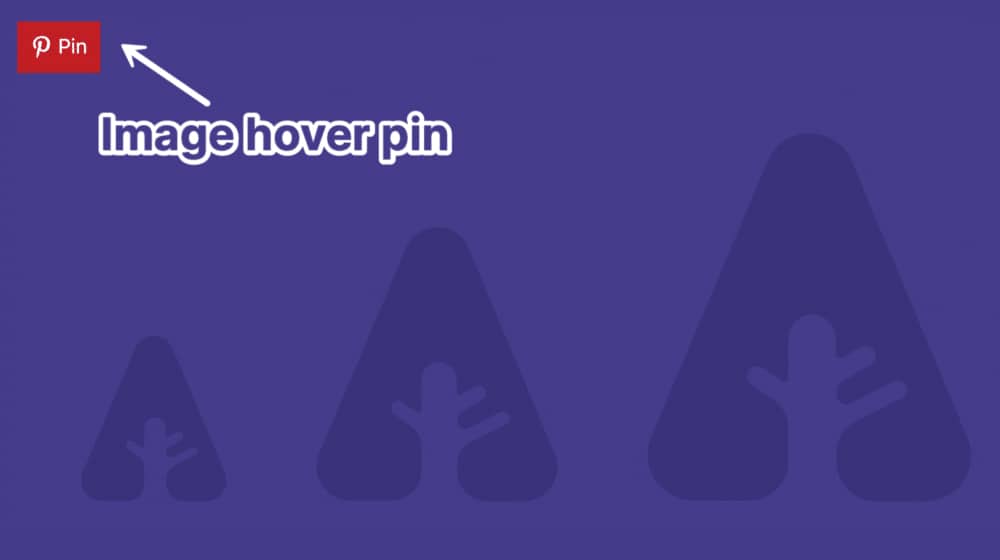 Pin on Hover