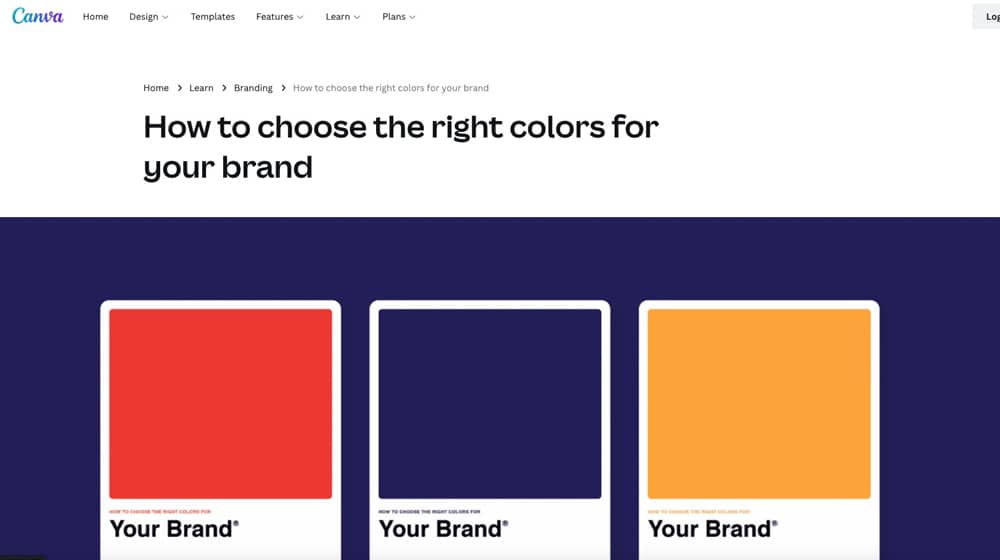 Choose Colors For Your Brand