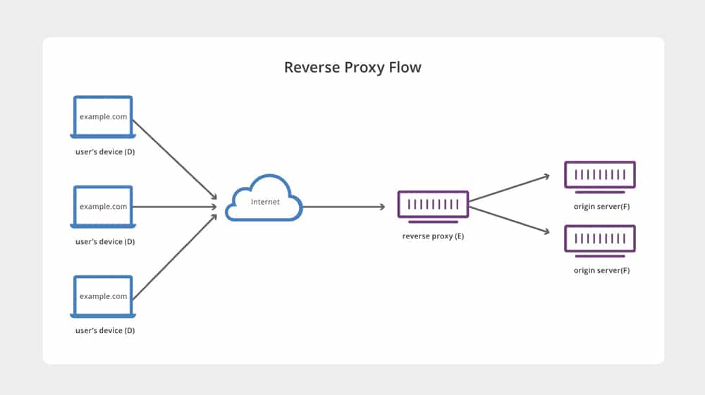 Reverse Proxy Flow