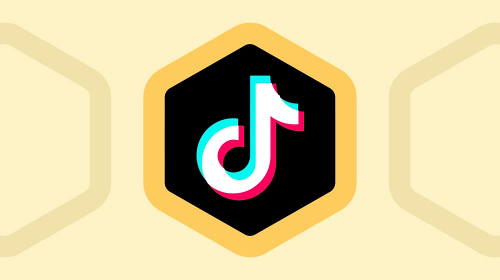 TikTok Ads Cost