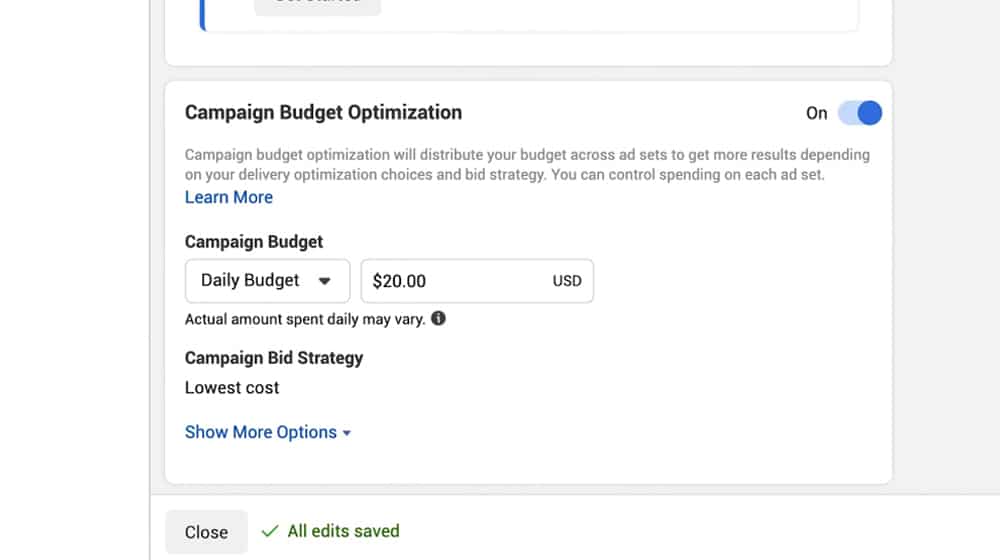 Facebook Advertising Campaign Budget Optimization