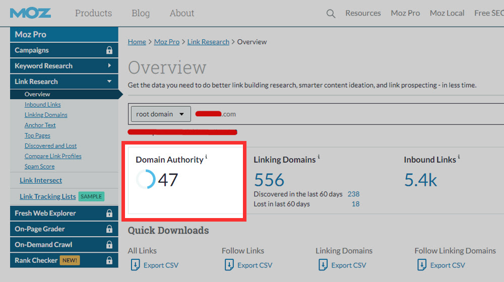 What Does Domain Authority Measure